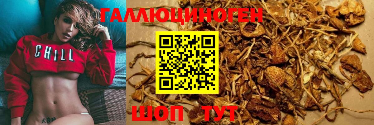 Галлюциногенные грибы Cubensis  Галлюциногенные грибы прущие грибы  даркнет сайт  Кузнецк  Вход с VPN 